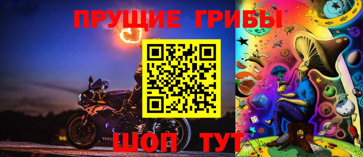 Галлюциногенные грибы мицелий  Псилоцибиновые грибы Magic Shrooms  Новозыбков  Вход с VPN 